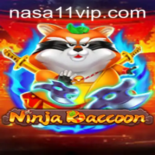 NinjaRaccoon: A Journey Through Virtual Space Adventures
